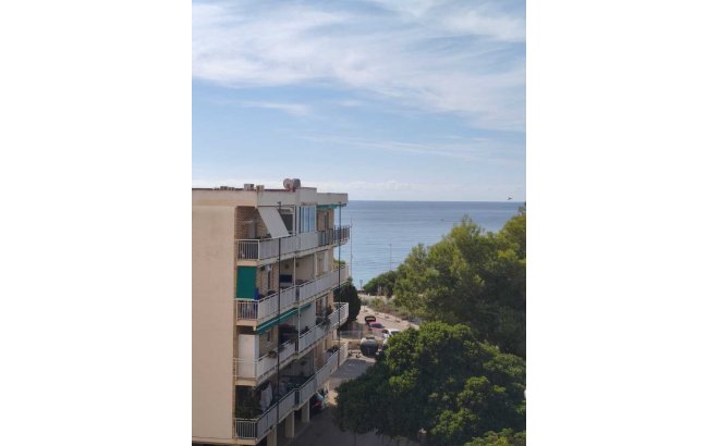 Apartment Penthouse - Resale - Punta Prima - Costa Blanca