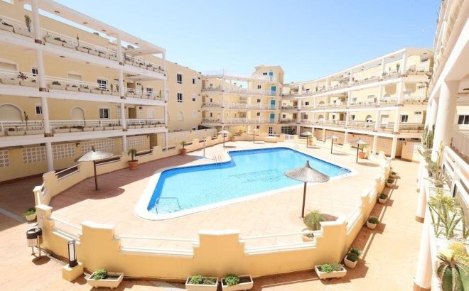 Apartment - Resale - Orihuela Costa - Costa Blanca
