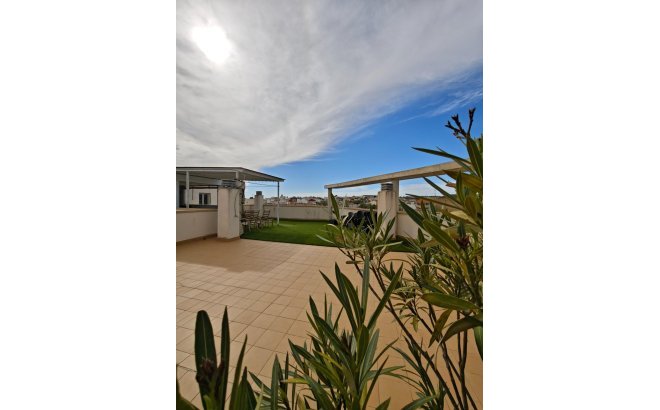 Apartment - Resale - San Miguel de Salinas - San Miguel de Salinas
