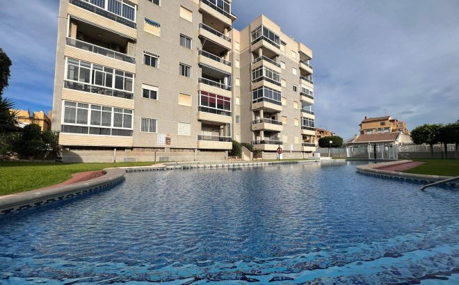 Apartment - Resale -
            Torrevieja - 15644