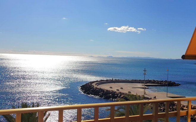 Apartment - Resale -
            Torrevieja - 48707