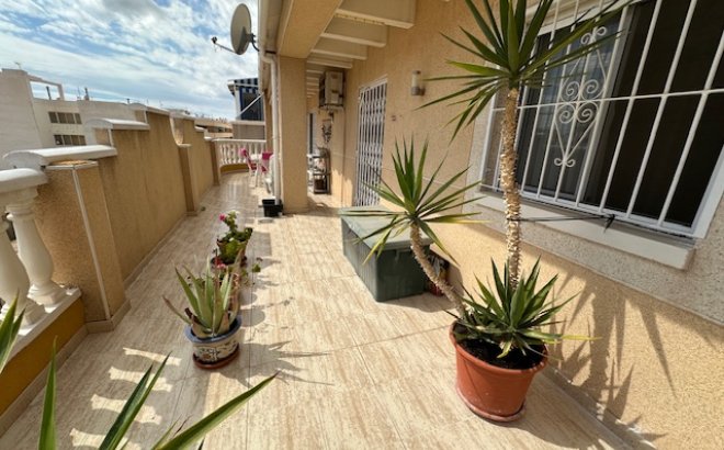 Apartment - Resale - Torrevieja - Costa Blanca