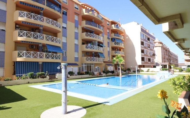 Apartment - Resale - Torrevieja - Costa Blanca