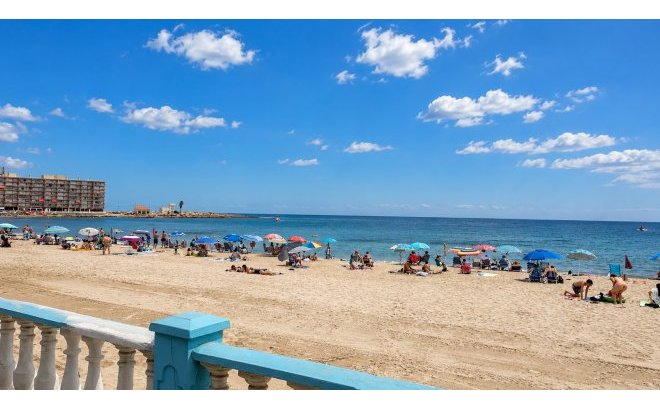 Apartment - Resale - Torrevieja -
                Costa Blanca
