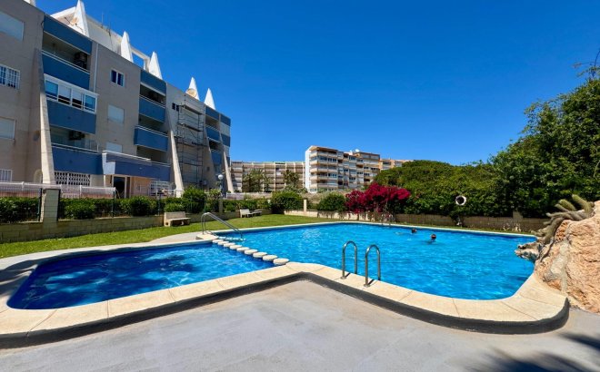 Apartment - Resale - Torrevieja - Gaspar Perrelló