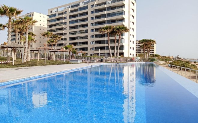 Apartment - Resale - Torrevieja -
                Punta Prima