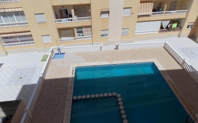 Apartment - Resale - Torrevieja - Torrevieja