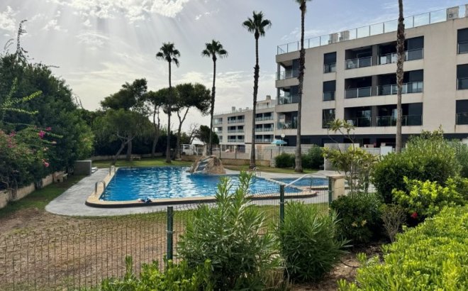 Appartement - Herverkoop - La Mata -
                Costa Blanca