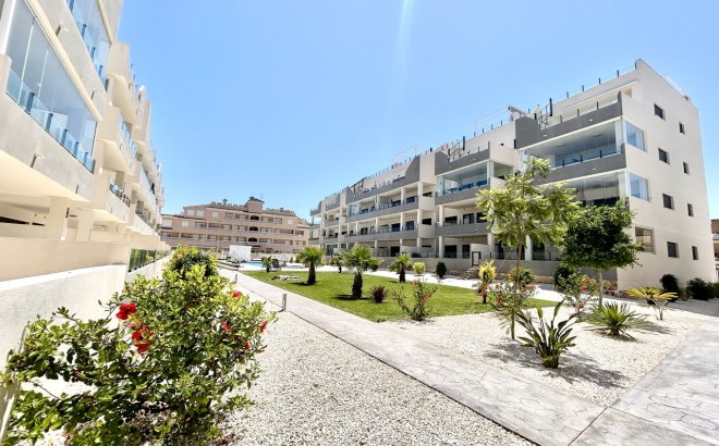 Appartement - Herverkoop - Los Dolses - Inland