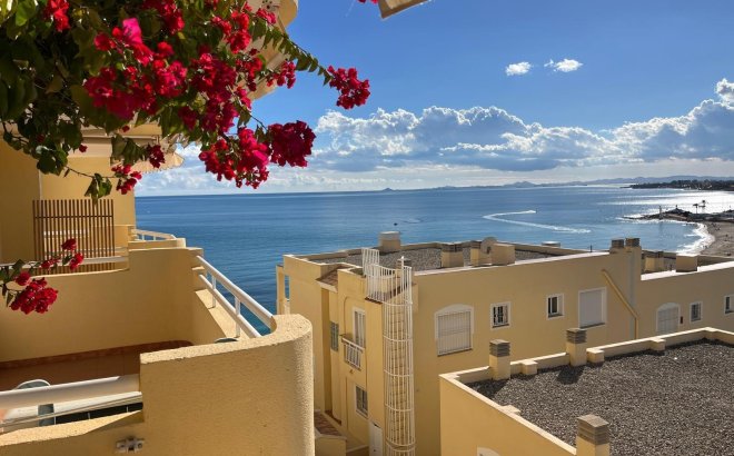 Appartement - Herverkoop - Orihuela Costa - Campoamor