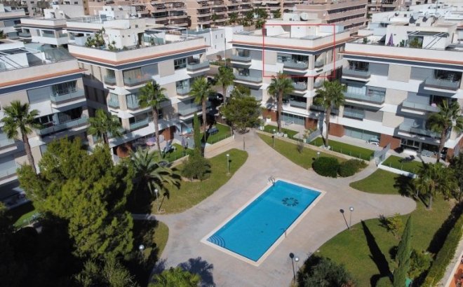 Appartement - Herverkoop - Orihuela Costa - Costa Blanca
