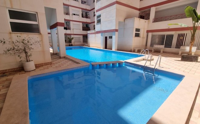 Appartement - Herverkoop -
            Torrevieja - 79306