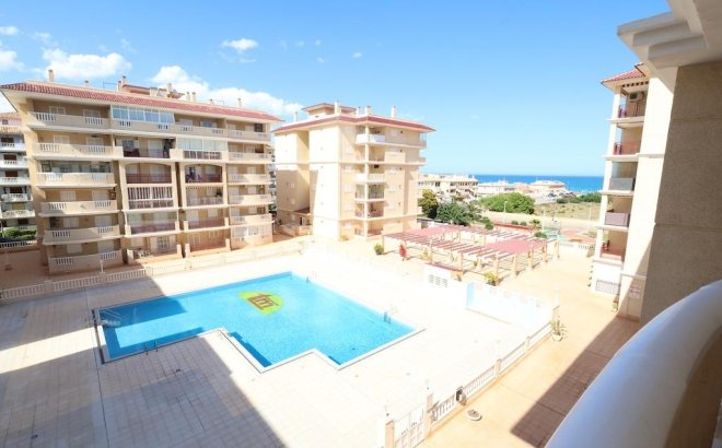 Appartement - Herverkoop -
            Torrevieja - 84568
