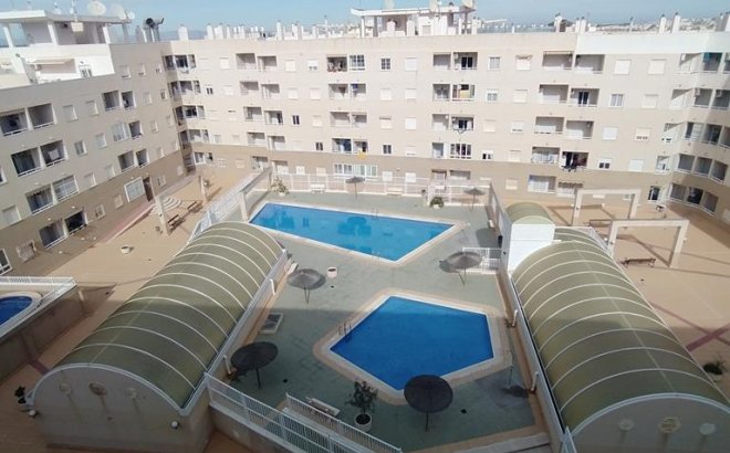 Appartement - Herverkoop - Torrevieja - CASCO URBANO