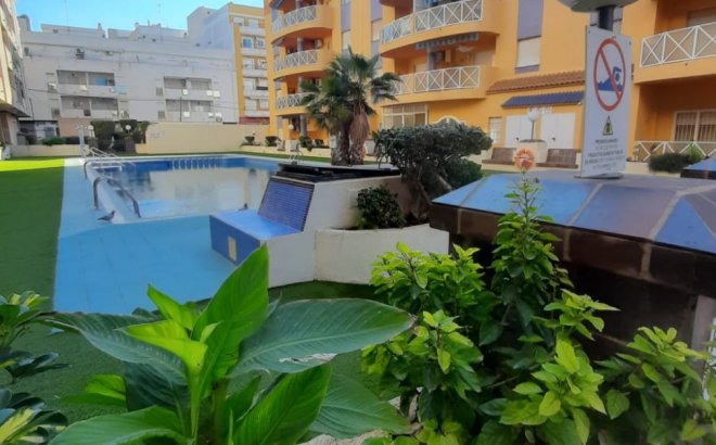 Appartement - Herverkoop - Torrevieja - Costa Blanca