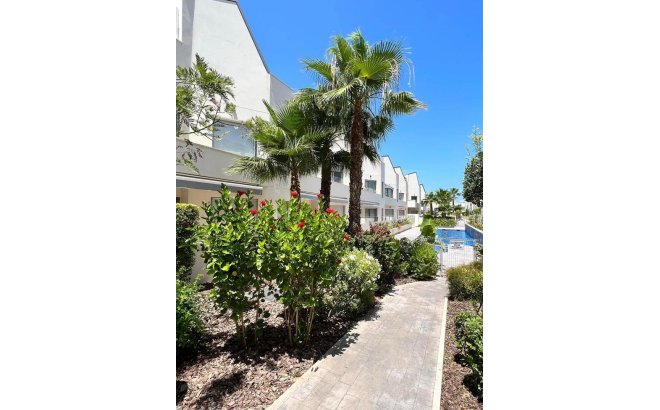 Appartement - Herverkoop - Torrevieja -
                Costa Blanca