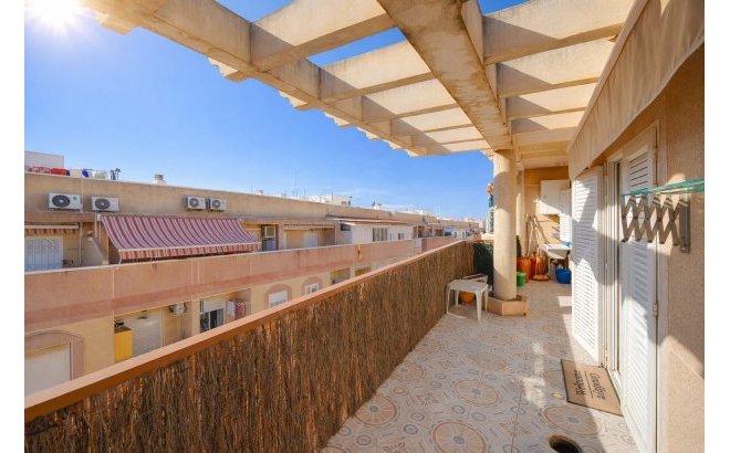 Appartement - Herverkoop - Torrevieja - Costa Blanca