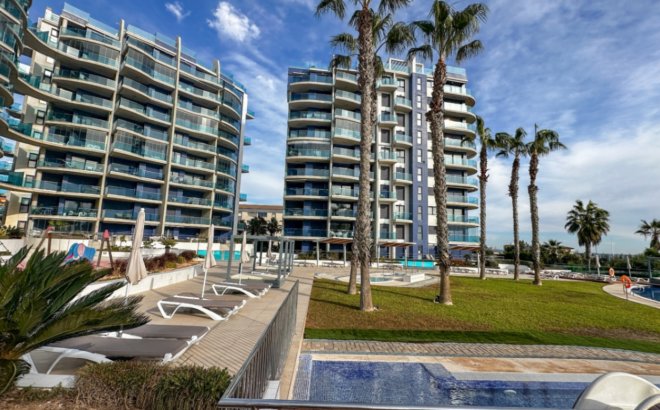 Appartement - Herverkoop - Torrevieja - Costa Blanca
