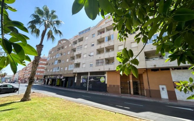 Appartement - Herverkoop - Torrevieja -
                Costa Blanca