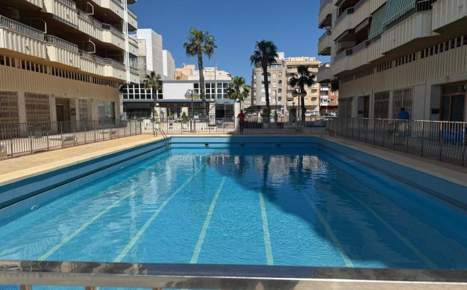 Appartement - Herverkoop - Torrevieja - Playa del Acequión