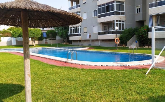 Appartement - Herverkoop - Torrevieja - Torreblanca