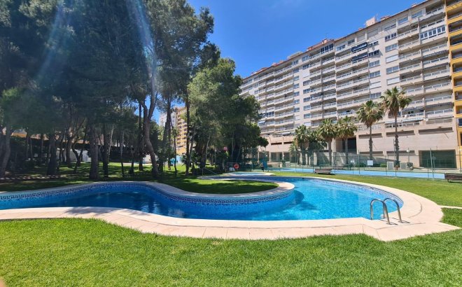 Appartement - Revente - Orihuela Costa - Campoamor