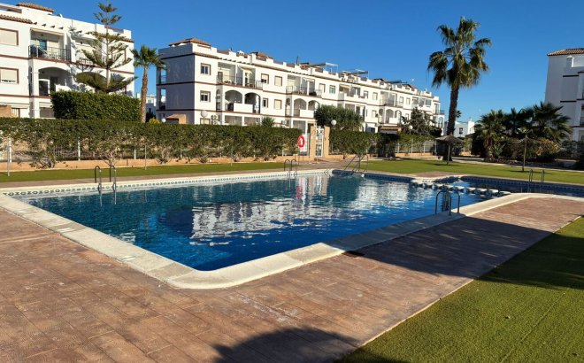 Appartement - Revente -
            Punta Prima - 56083