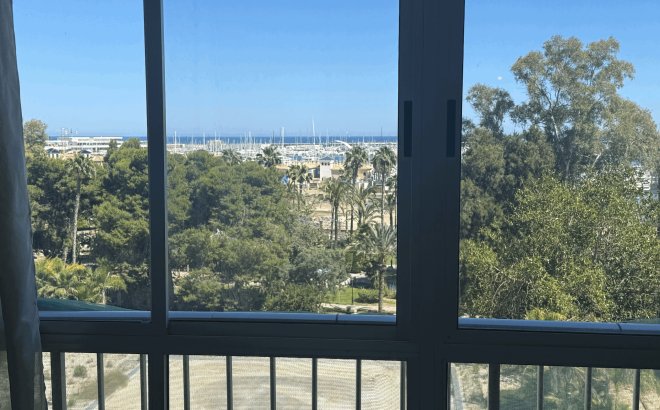 Appartement - Revente - Torrevieja -
                Costa Blanca