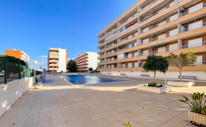 Appartement - Revente - Torrevieja - Costa Blanca