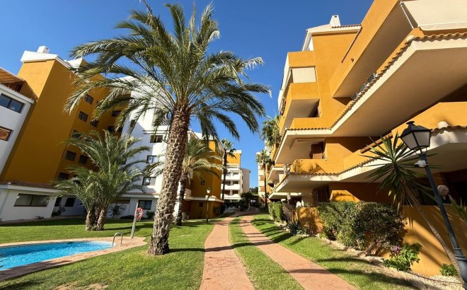 Appartement - Revente - Torrevieja -
                Punta Prima