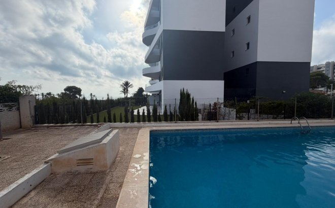 Appartement - Revente - Torrevieja -
                Punta Prima