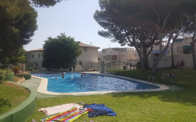 Bungalow - Revente - Torrevieja - Lago Jardin