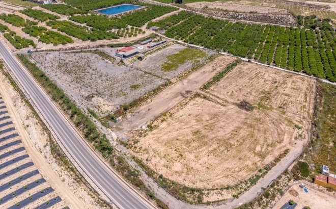 Finca - Resale - Los Montesinos - Los Montesinos