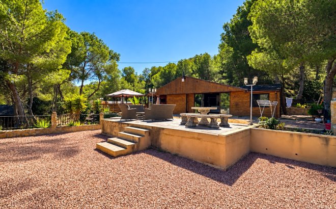 Finca - Revente - San Miguel de Salinas - Inland