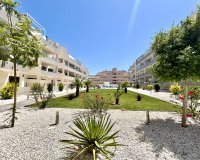 Herverkoop - Appartement -
Los Dolses - Inland