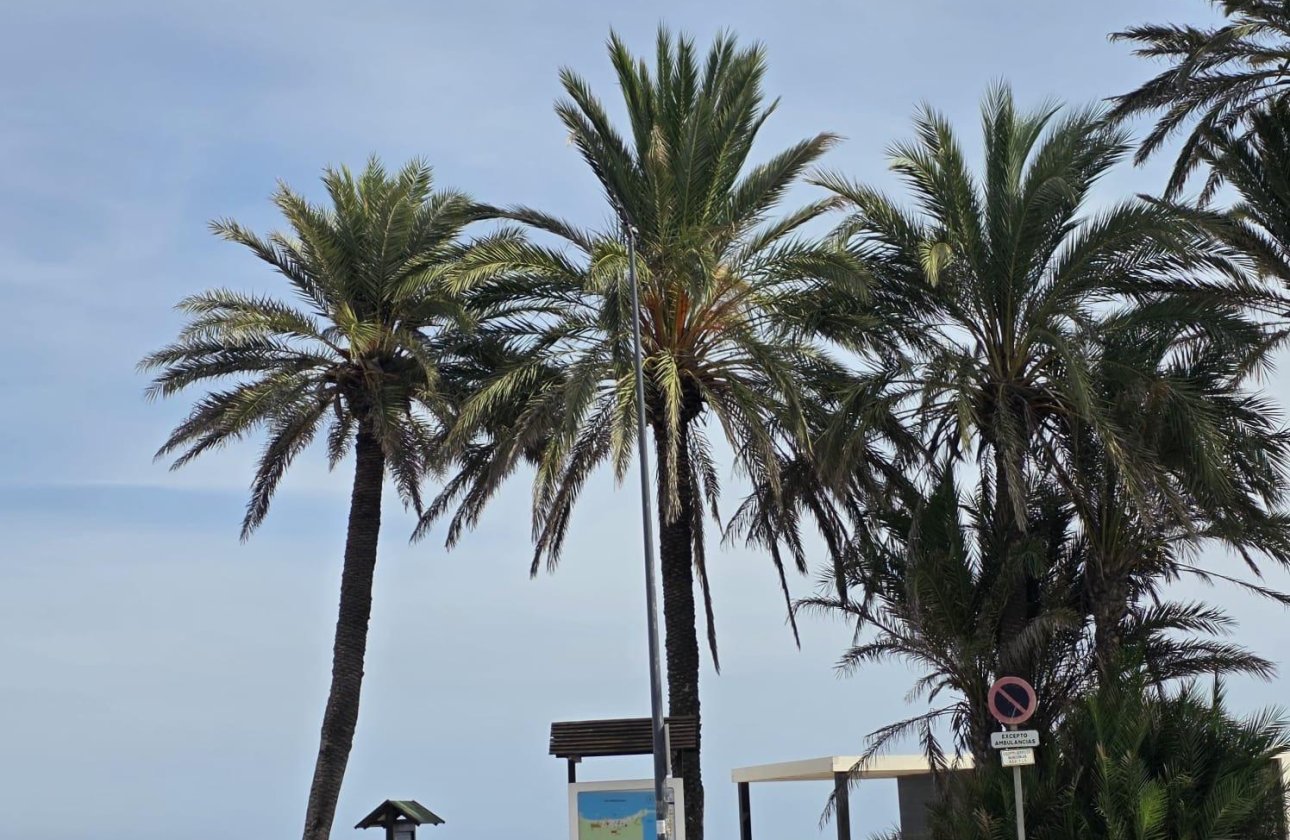Herverkoop - Appartement -
Orihuela Costa - Altos De Campoamor