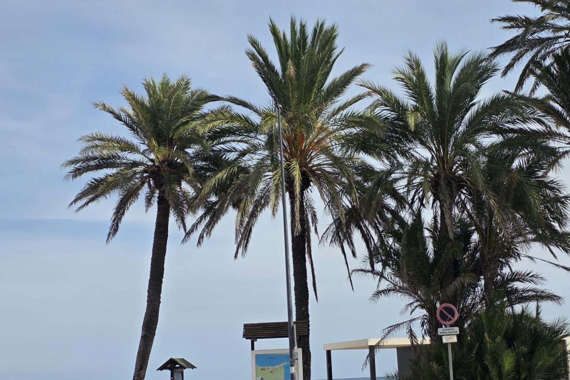 Herverkoop - Appartement -
Orihuela Costa - Altos De Campoamor