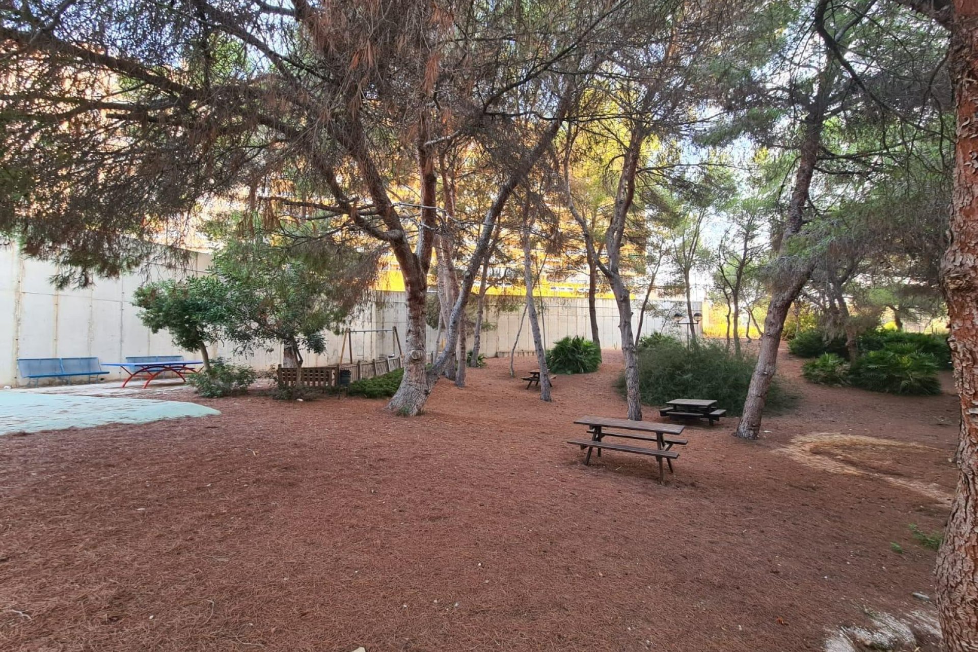 Herverkoop - Appartement -
Orihuela Costa - Campoamor