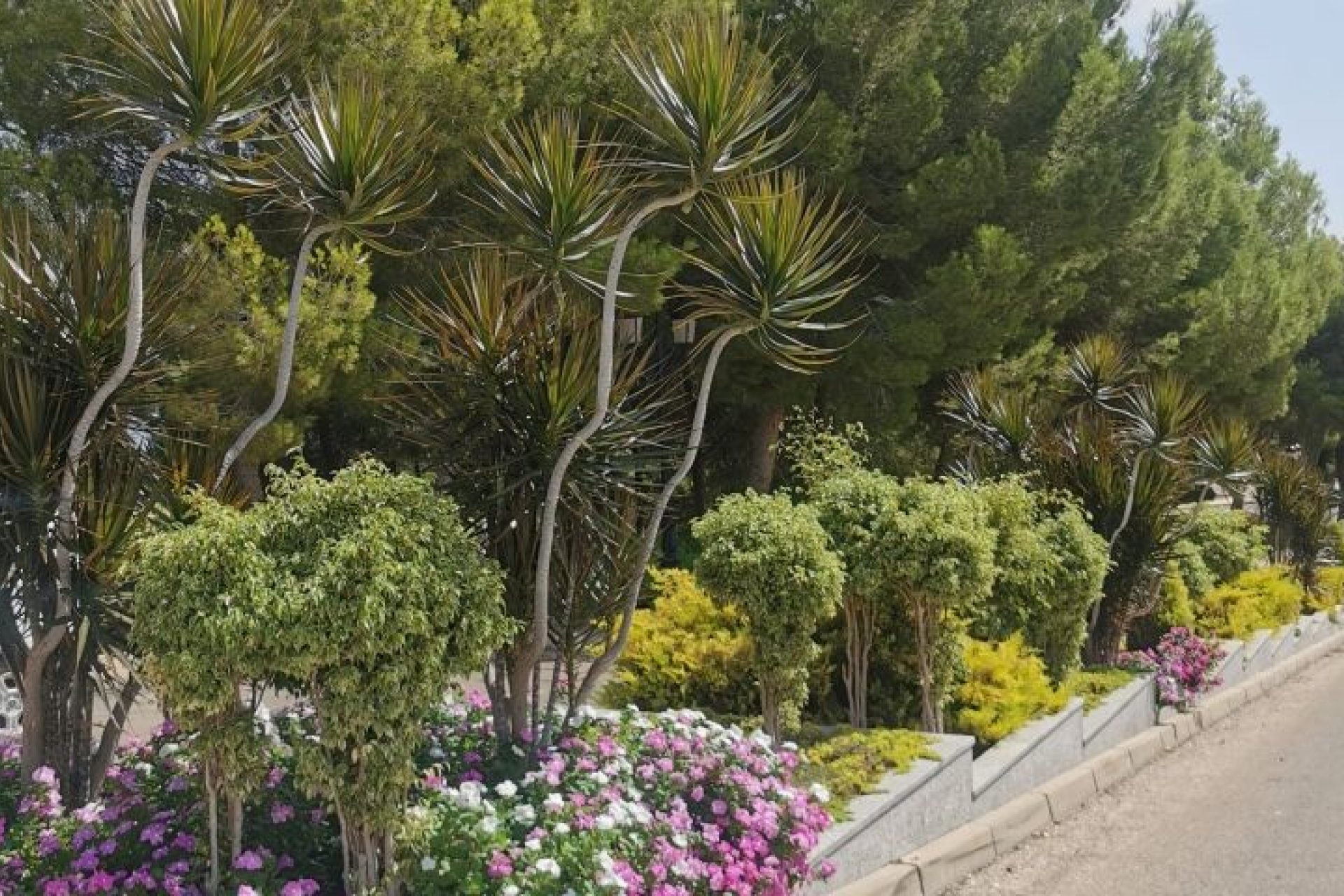 Herverkoop - Appartement -
Orihuela Costa - Costa Blanca