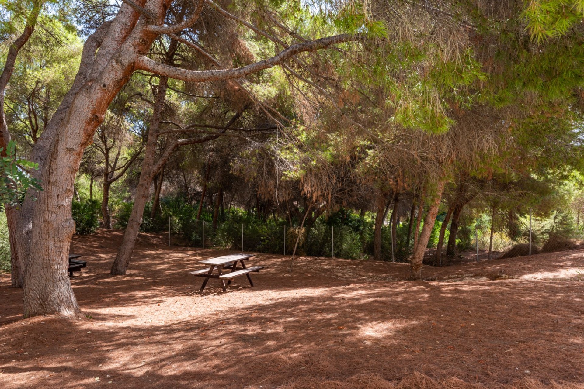 Herverkoop - Appartement -
Orihuela Costa - Costa Blanca