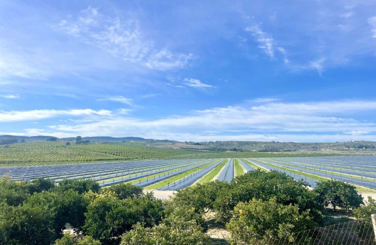 Herverkoop - Appartement -
Orihuela Costa - Costa Blanca