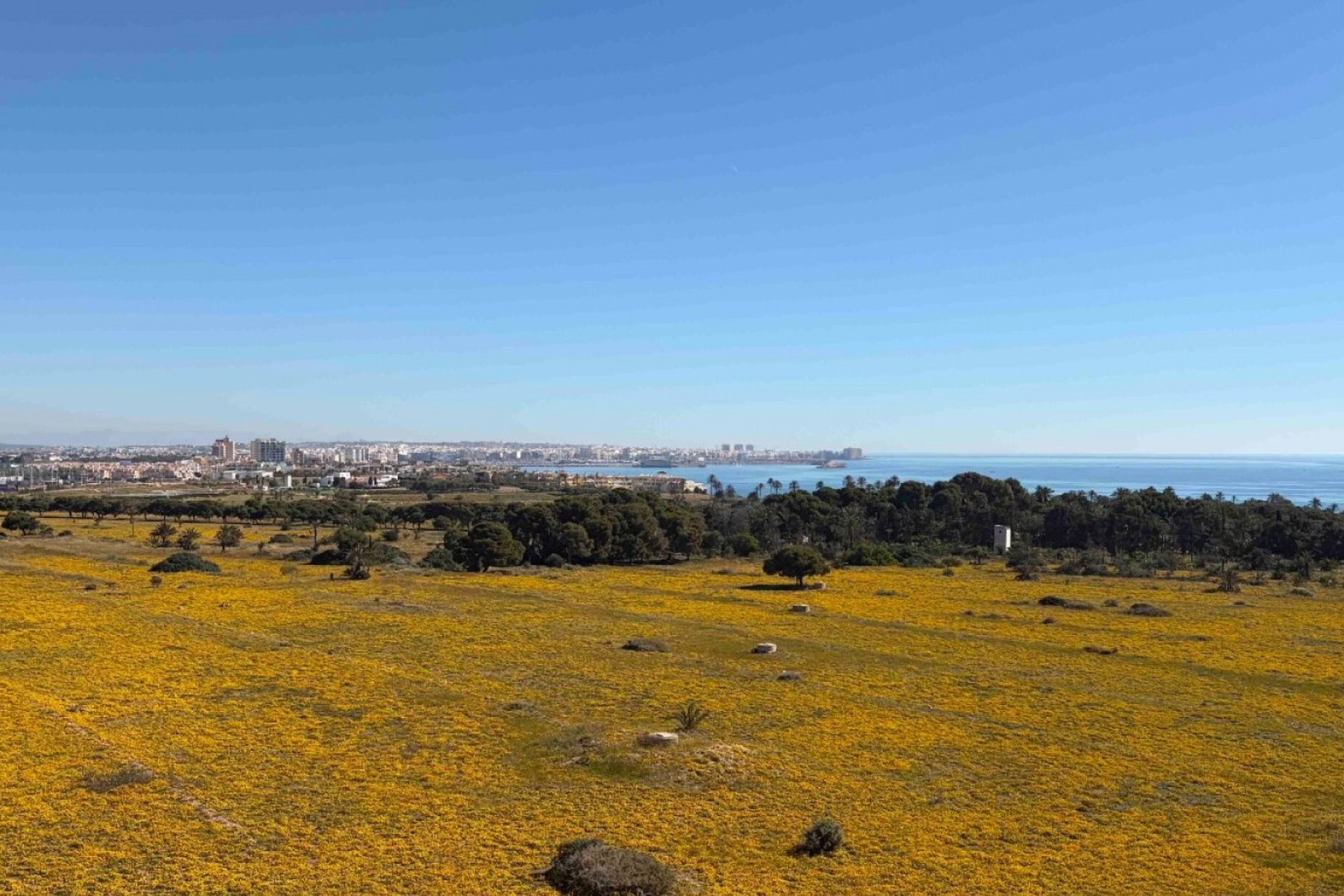 Herverkoop - Appartement -
Orihuela Costa - Costa Blanca
