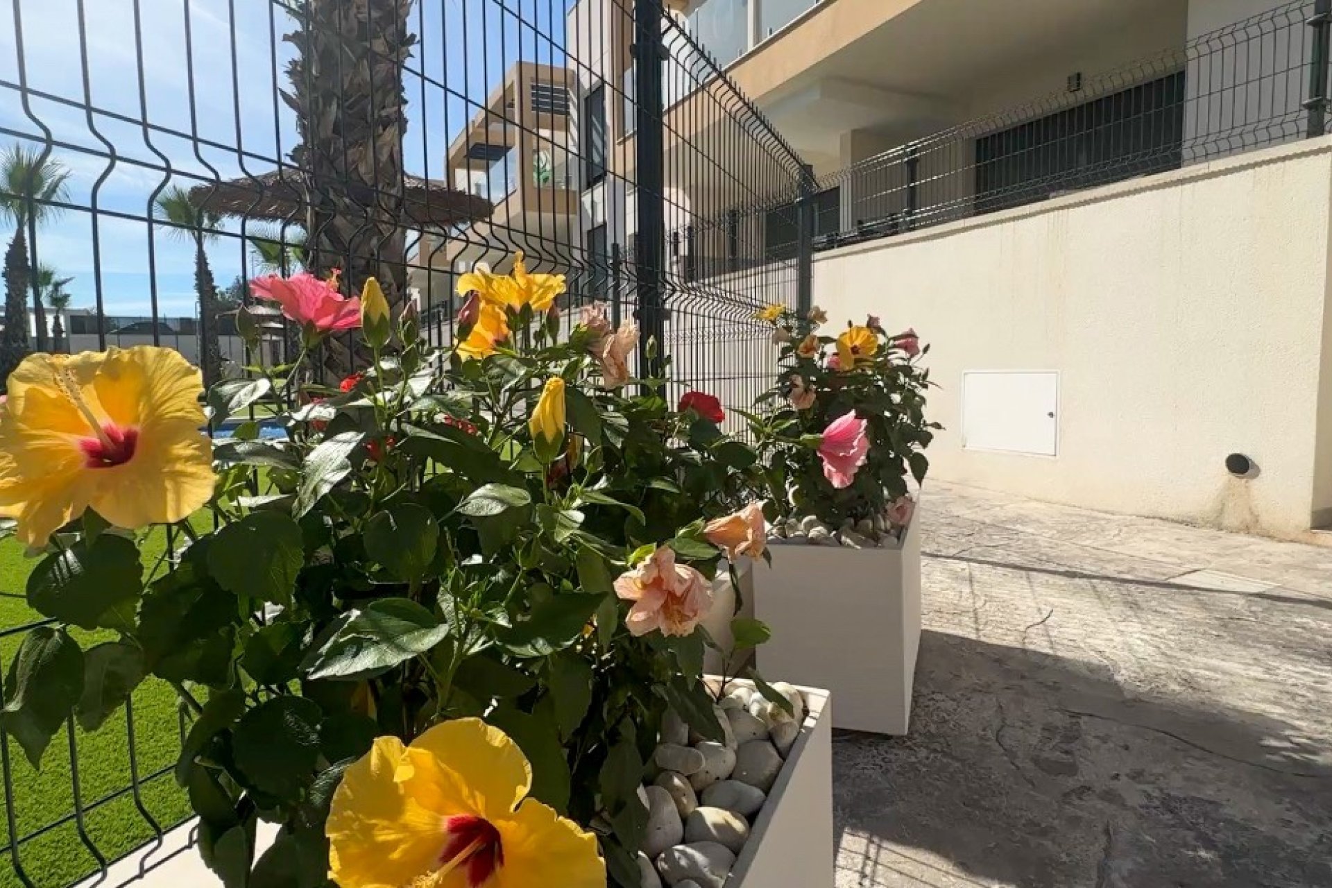 Herverkoop - Appartement -
Orihuela Costa - Costa Blanca