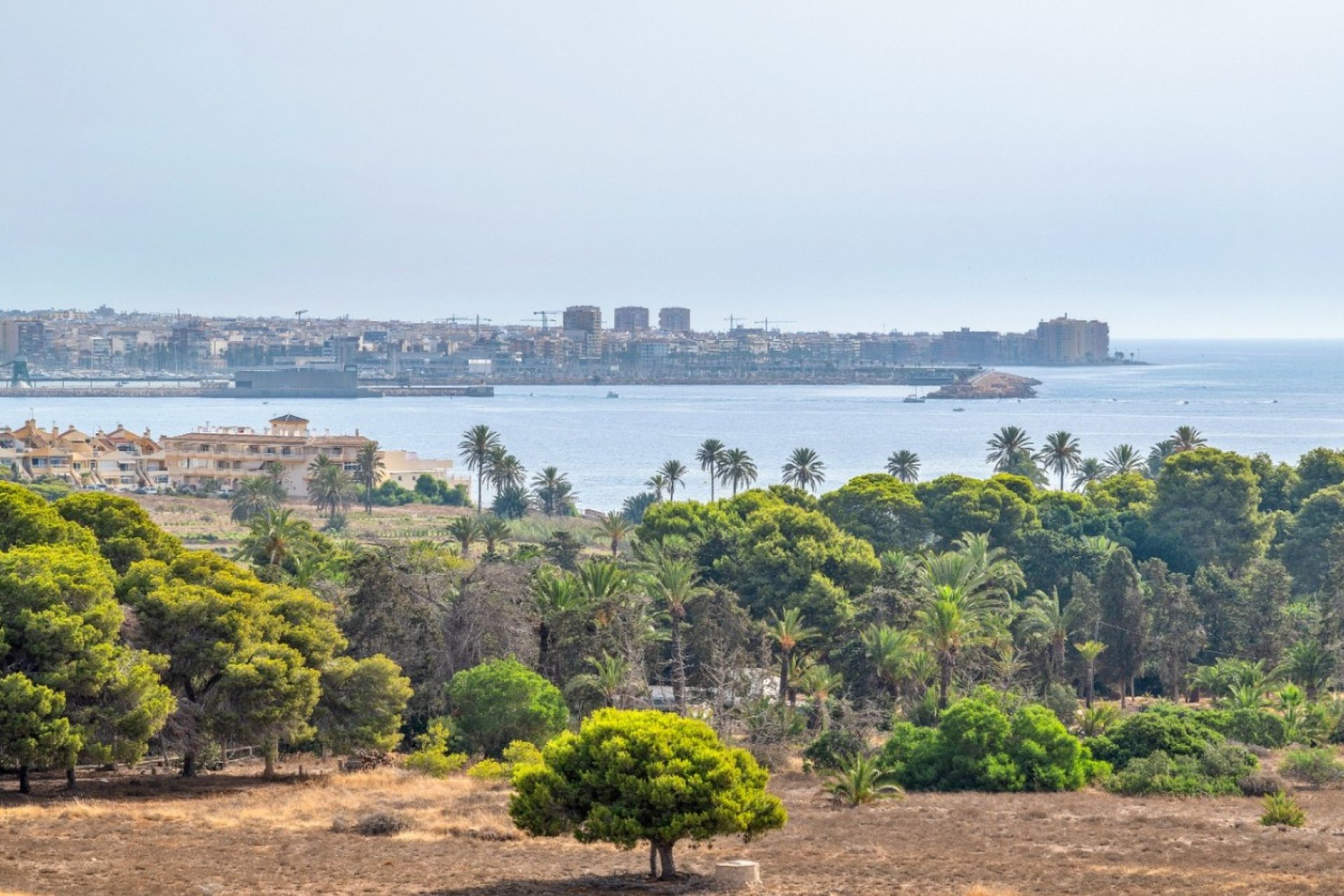 Herverkoop - Appartement -
Orihuela Costa - Costa Blanca