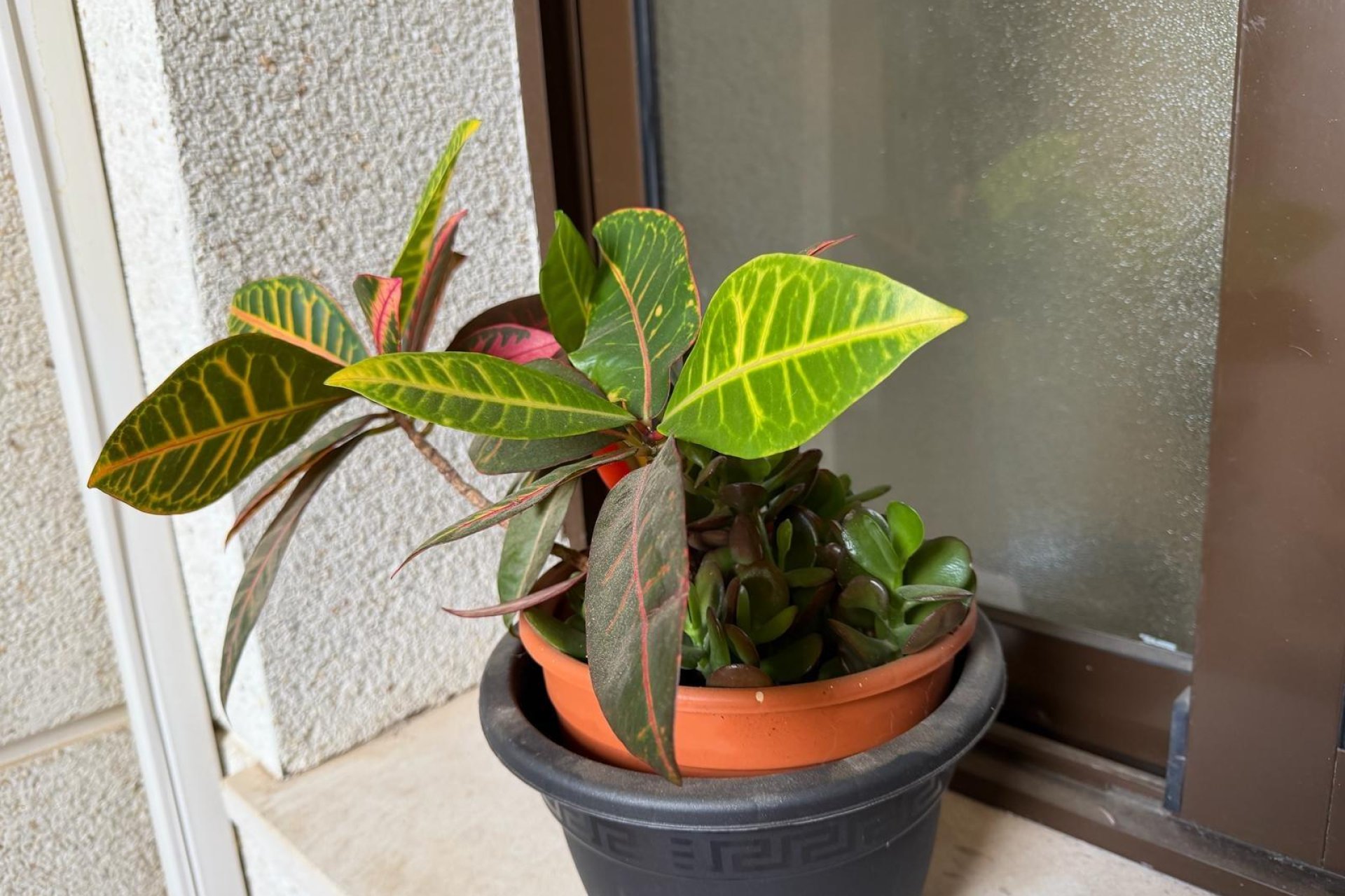 Herverkoop - Appartement -
Orihuela Costa - Las Ramblas