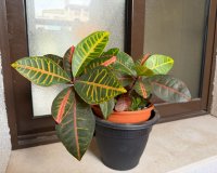 Herverkoop - Appartement -
Orihuela Costa - Las Ramblas