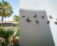 Herverkoop - Appartement -
Pilar de la Horadada - Costa Blanca
