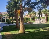 Herverkoop - Appartement -
Playa Flamenca - Costa Blanca