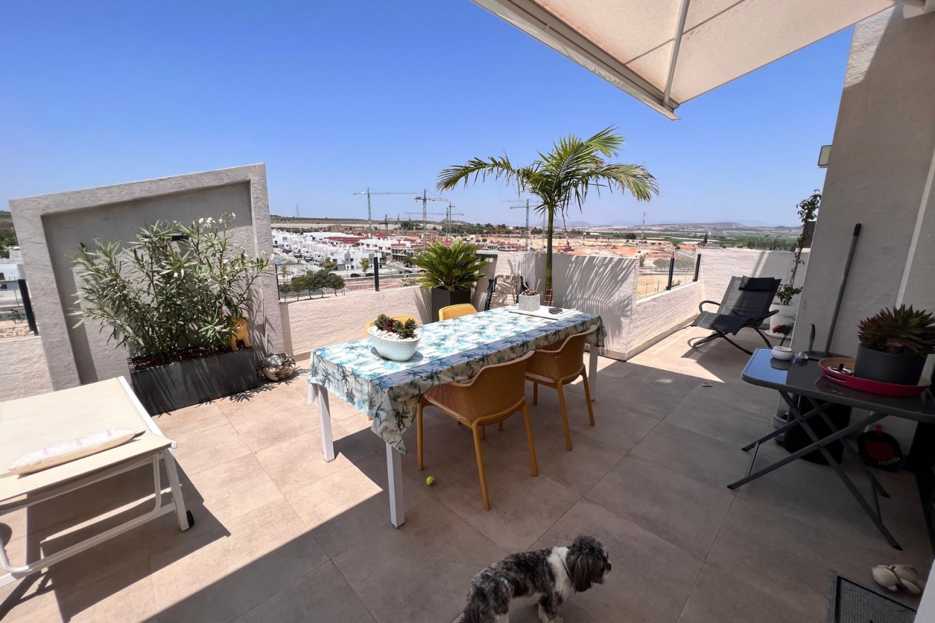 Herverkoop - Appartement -
San Miguel de Salinas - Inland