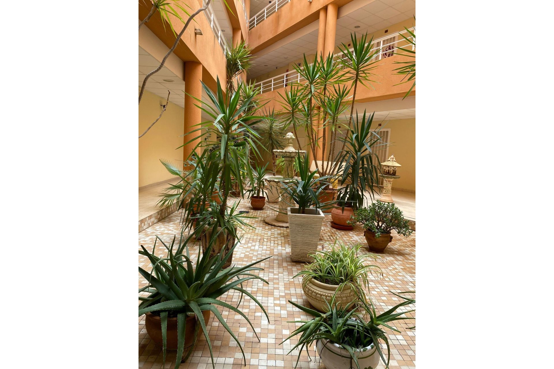 Herverkoop - Appartement -
San Miguel de Salinas - Pueblo 9